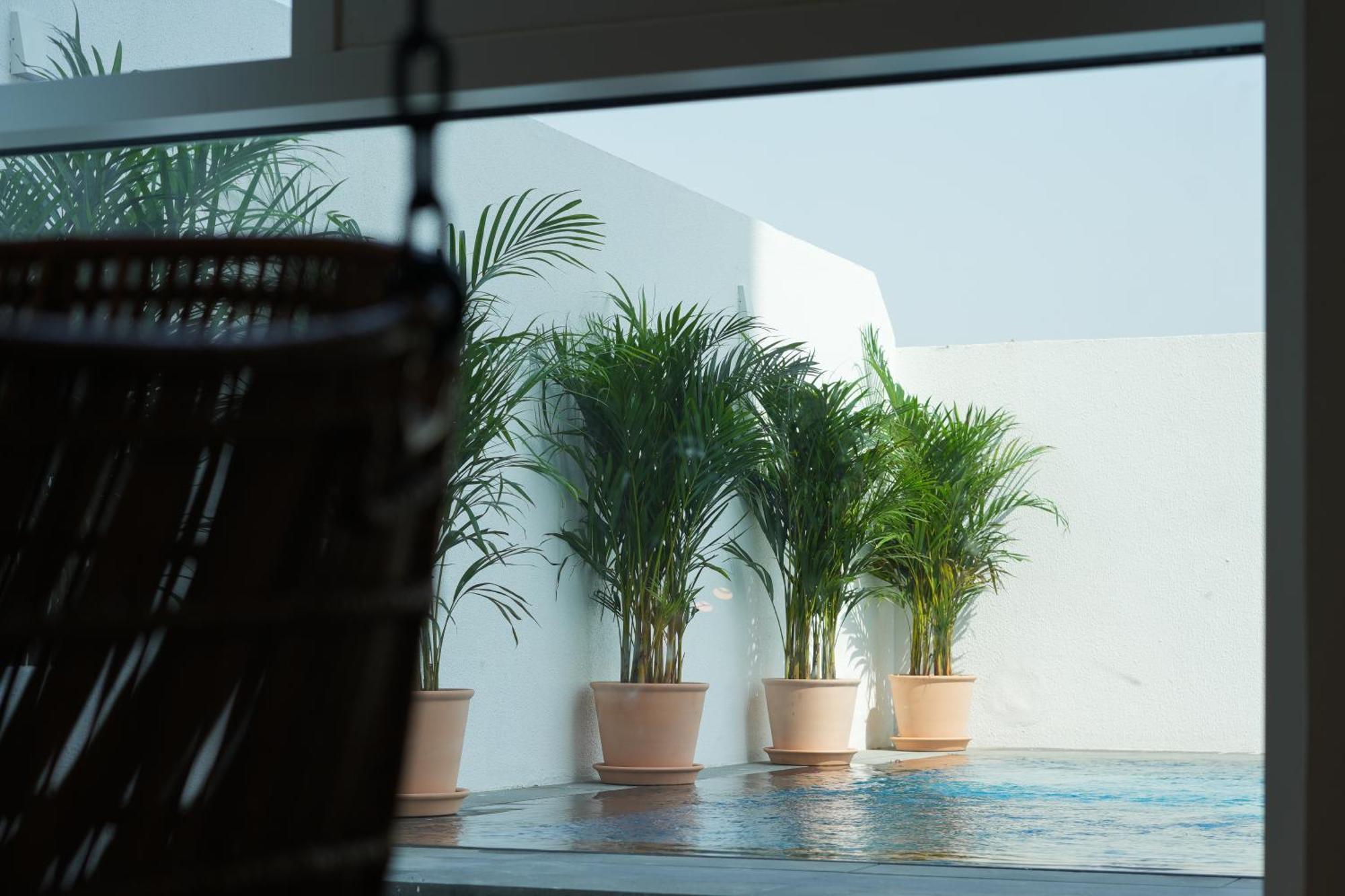 Shada Jumeirah Garden فندق دبي