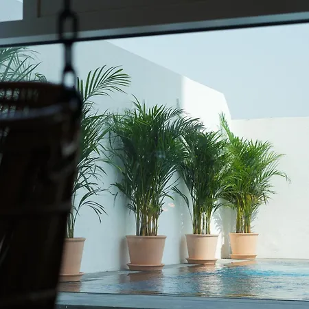 Shada Hotel Jumeirah Garden Dubai Esterno foto
